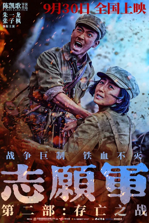 二战风云剧照9