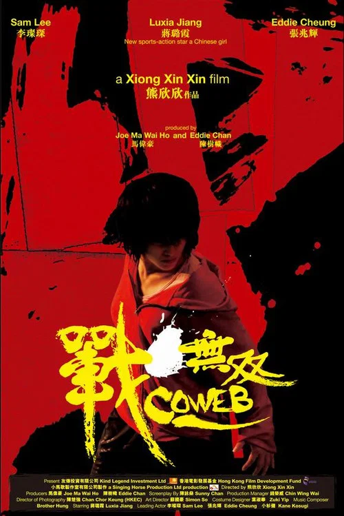 战·无双(2009)海报