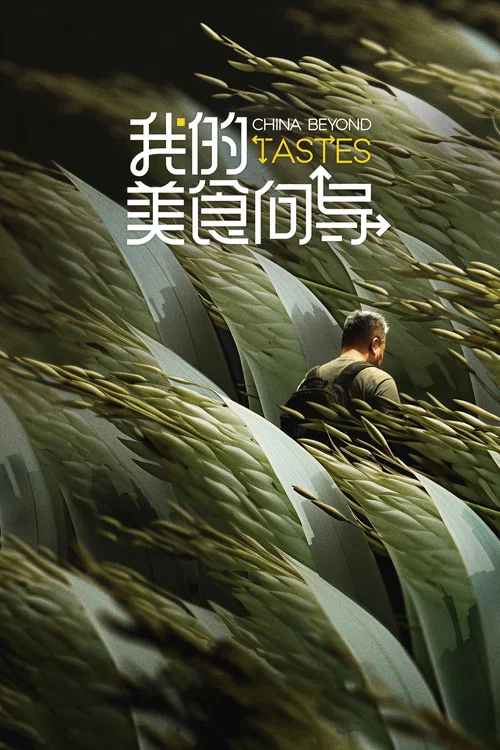 我的美食向导(2023)海报