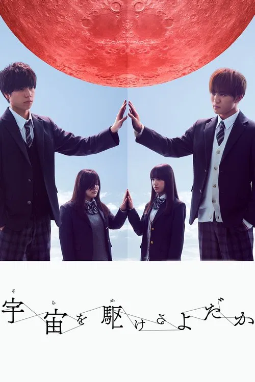 翱翔于天际的夜鹰(2018)海报
