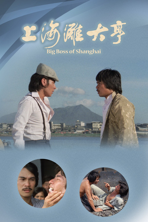 上海滩大亨(1979)海报
