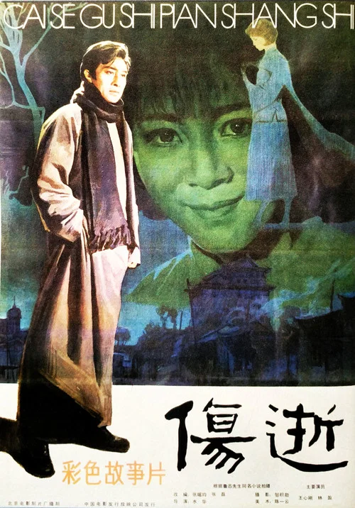 伤逝(1981)海报