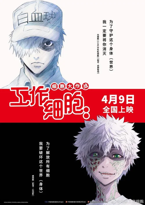 工作细胞:细胞大作战剧照12