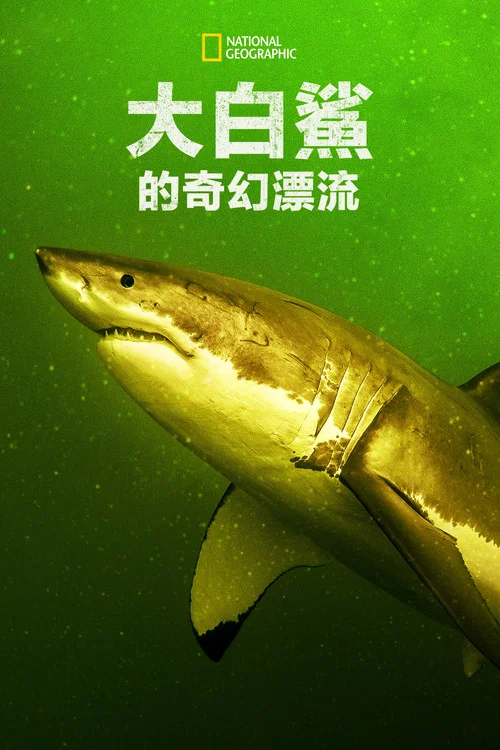 大白鲨的奇幻漂流(2023)海报