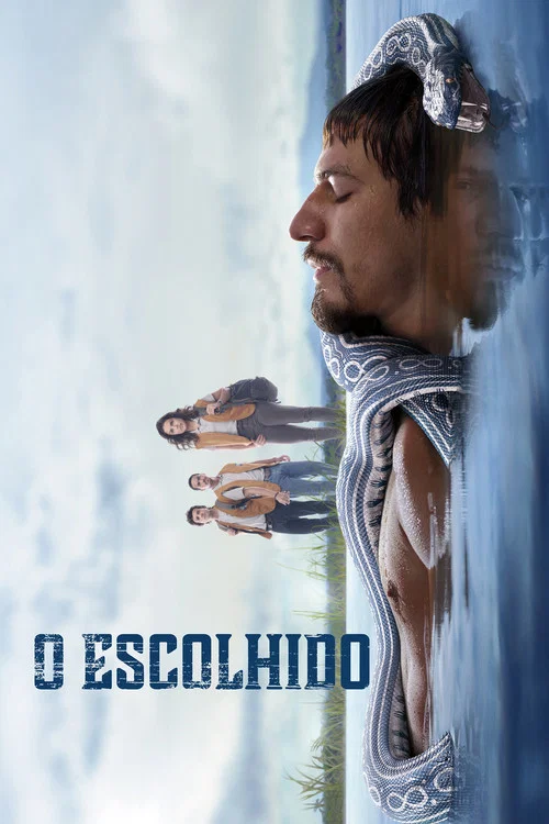 天选之子(2019)海报