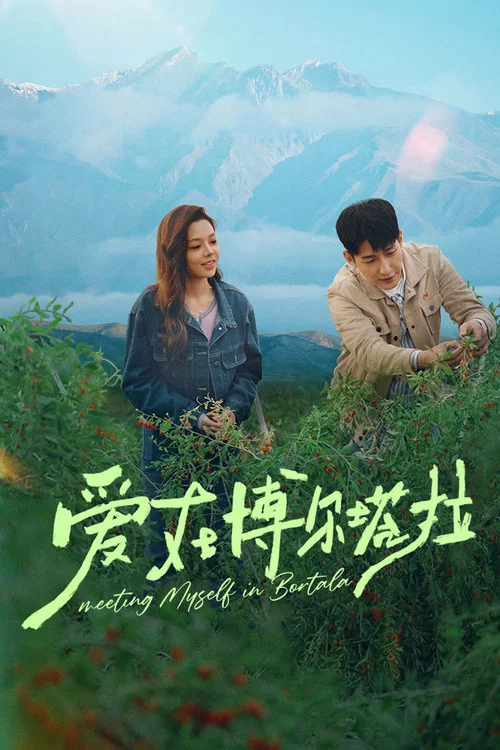 爱在博尔塔拉(2026)海报