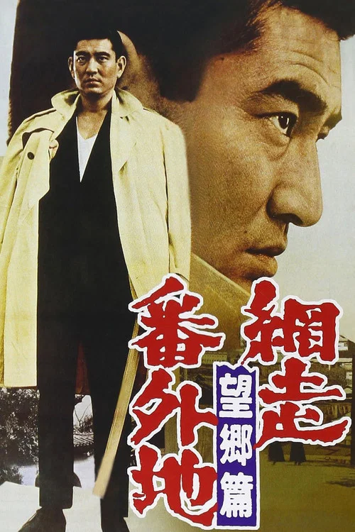 网走番外地:望乡篇(1965)海报