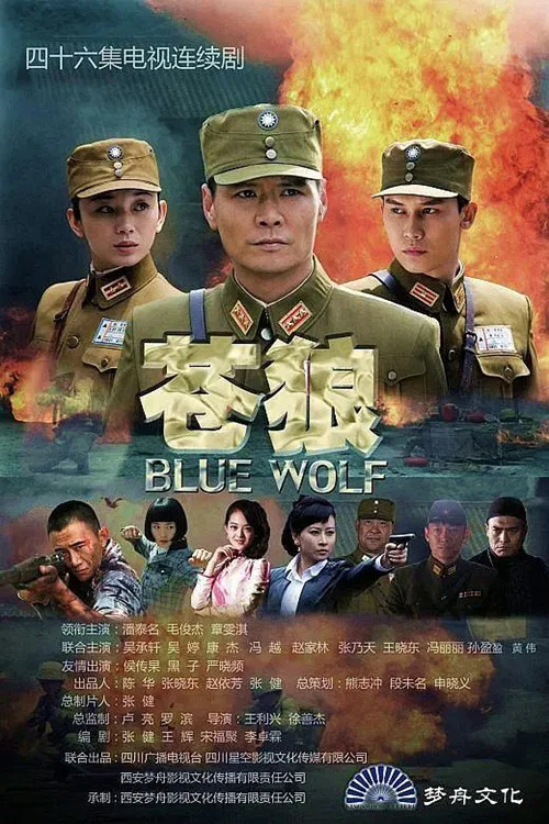 苍狼(2013)海报