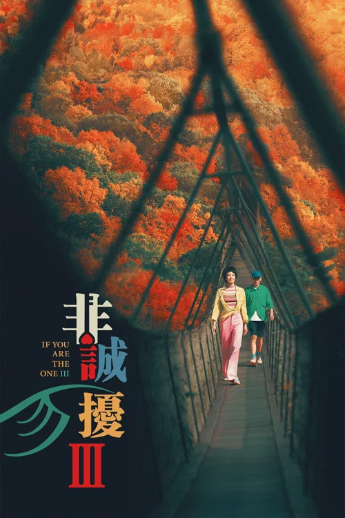 非诚勿扰3剧照4