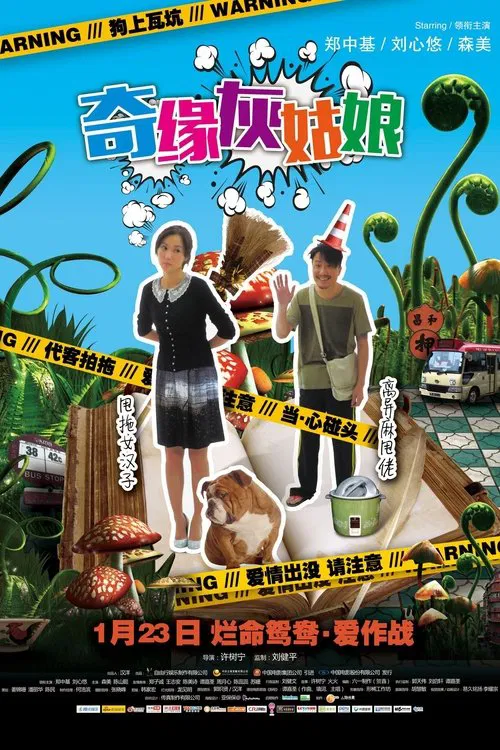 奇缘灰姑娘(2014)海报