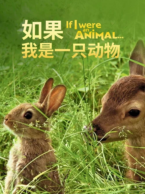 如果我是一只动物剧照2