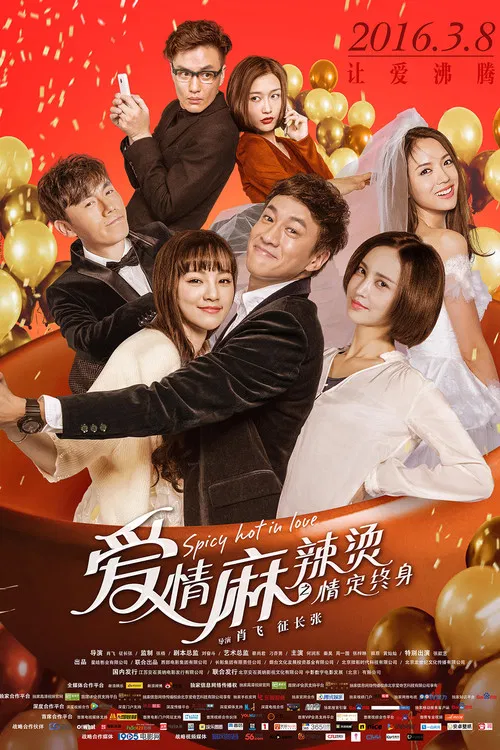 爱情麻辣烫之情定终身(2016)海报