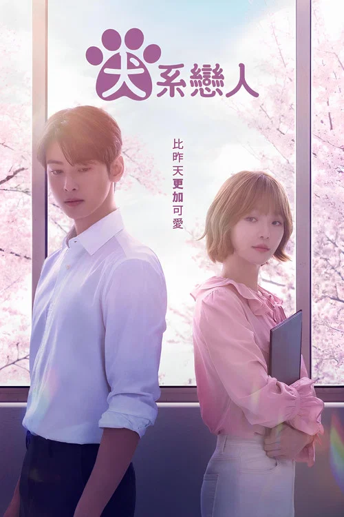 今天也很可爱的狗(2023)海报