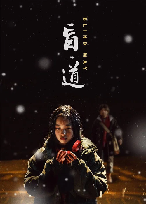 盲(2017)海报