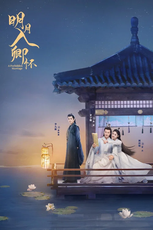 明月入卿怀2025(2025)海报