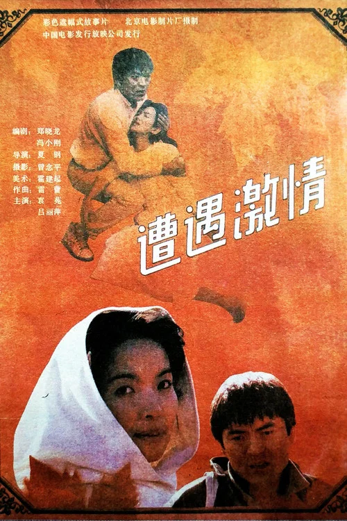 遭遇激情(1990)海报