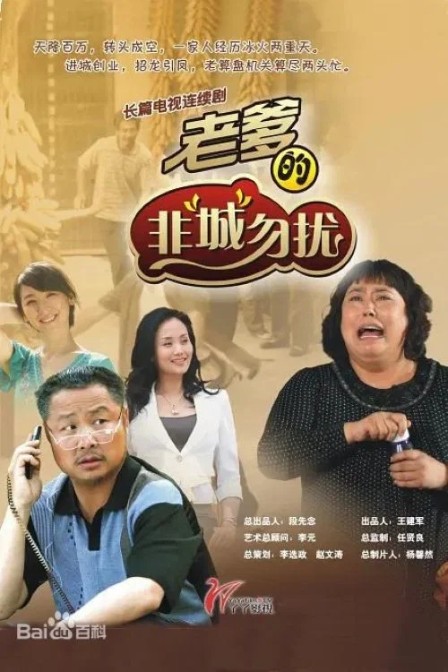 老爹的非“城”勿扰(2012)海报