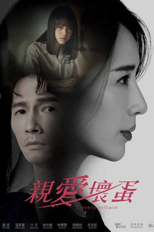 亲爱坏蛋剧照4