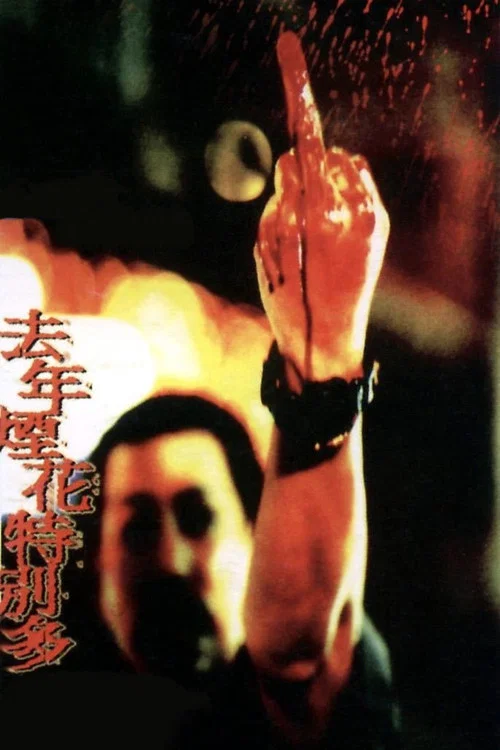 去年烟花特别多(1998)海报