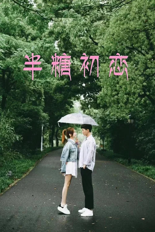 半糖初恋(2024)海报