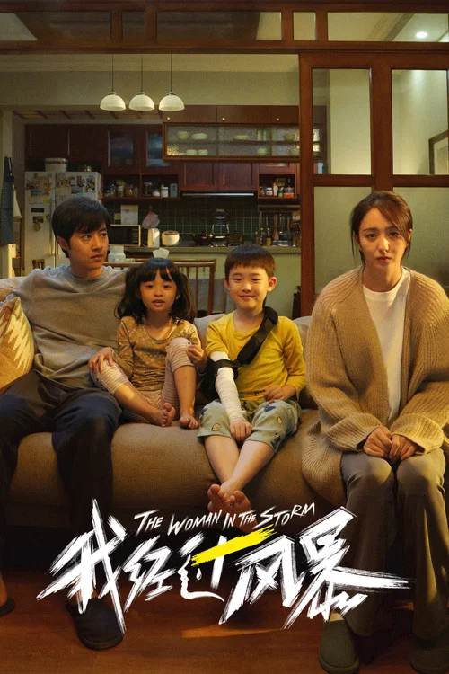 我经过风暴(2023)海报