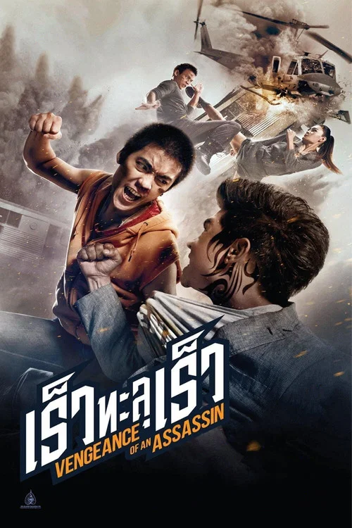 刺客复仇(2014)海报