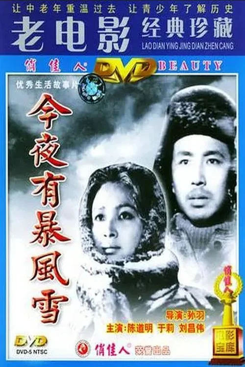 暴风夜(1984)海报