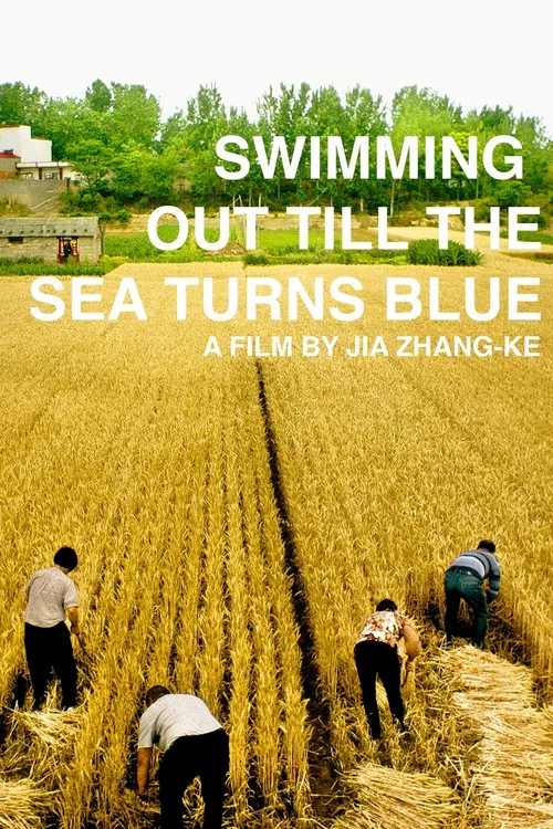 一直游到海水变蓝剧照3