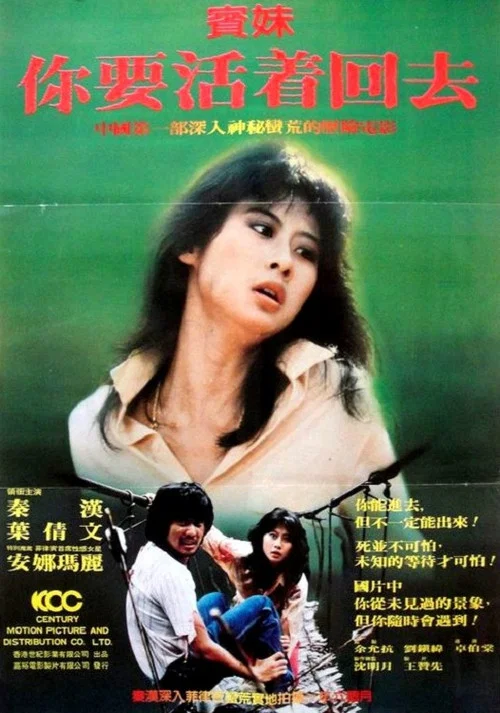 宾妹(1982)海报