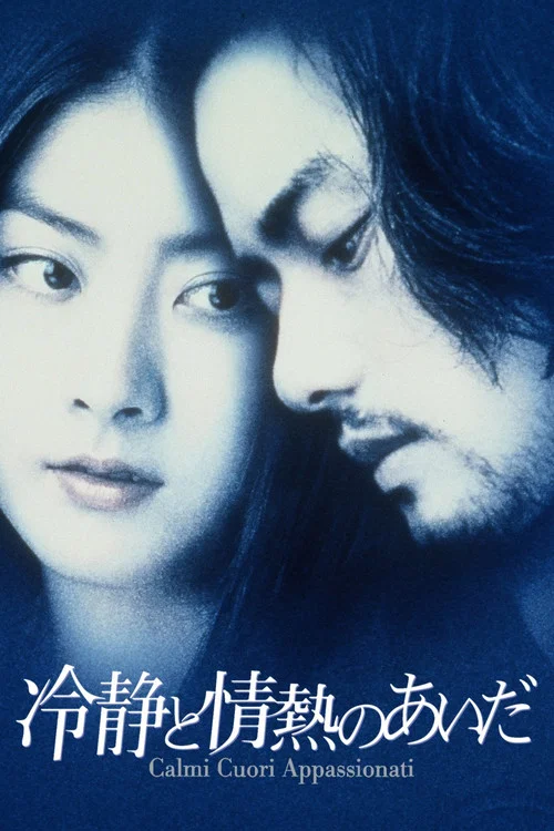 冷静与热情之间(2001)海报