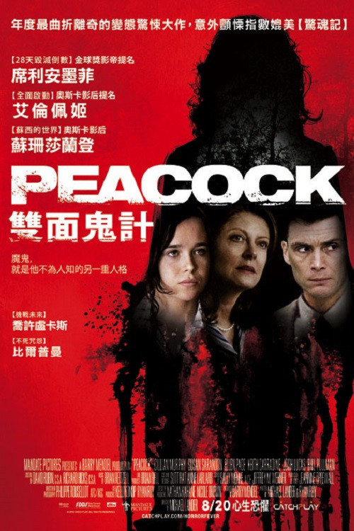 孔雀镇(2010)海报