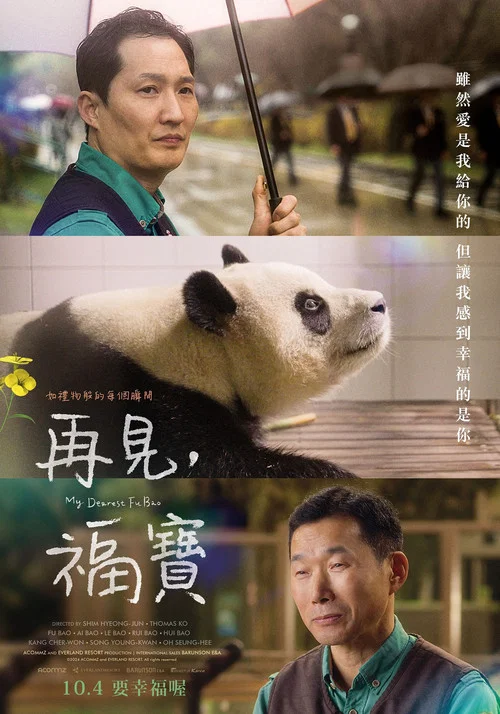 再见,福宝剧照2