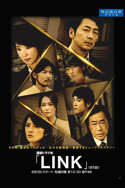 LINK(2013)海报