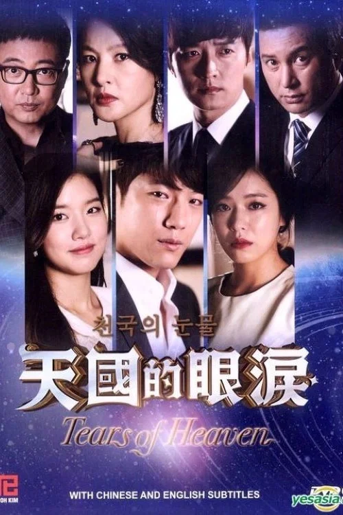 天国的眼泪(2014)海报