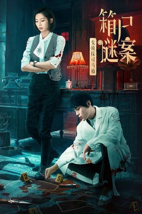 女侦探司马楠之箱尸谜案(2024)海报