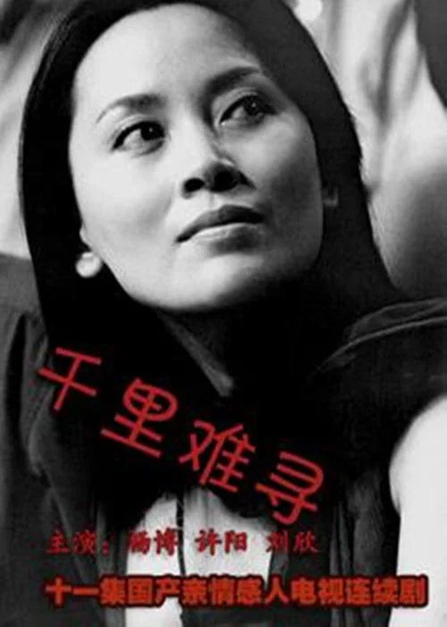 千里难寻(1994)海报