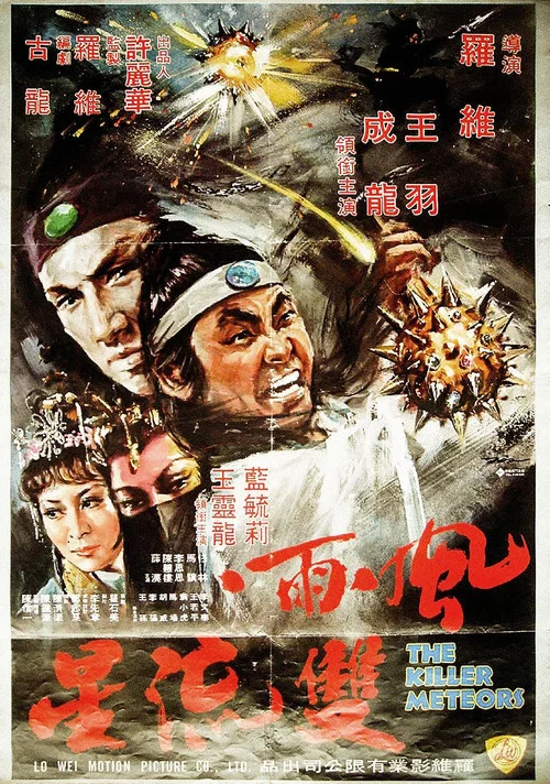风雨双流星剧照5