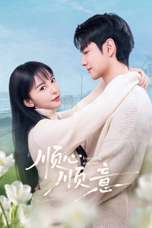 顺心顺意(2025)海报
