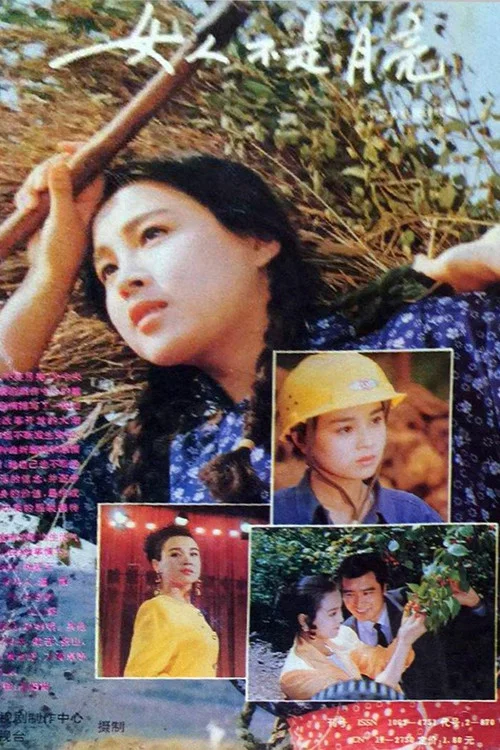 女人不是月亮(1993)海报
