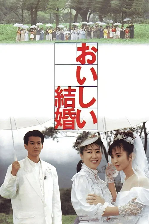 美妙的婚姻(1991)海报