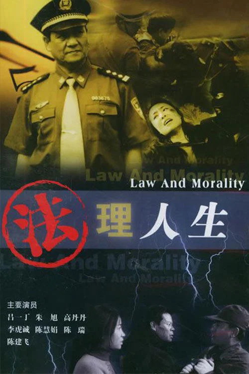 法理人生(2003)海报