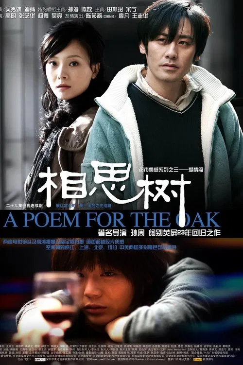 相思树(2008)海报