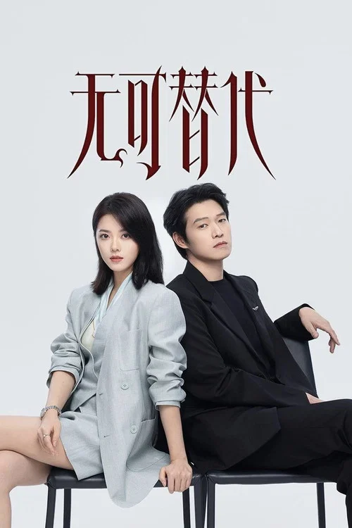 无可替代剧照5