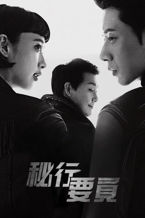 秘行要员(2017)海报