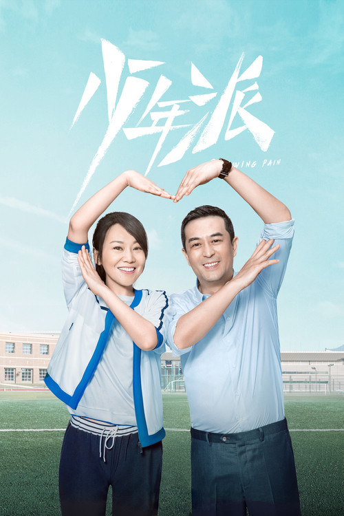 少年派(2019)海报