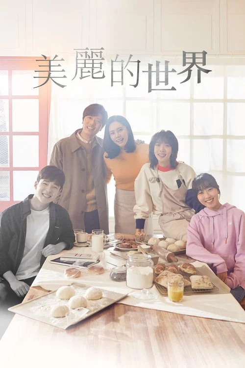 美丽的世界(2019)海报