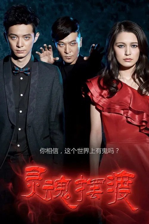 灵魂摆渡(2014)海报
