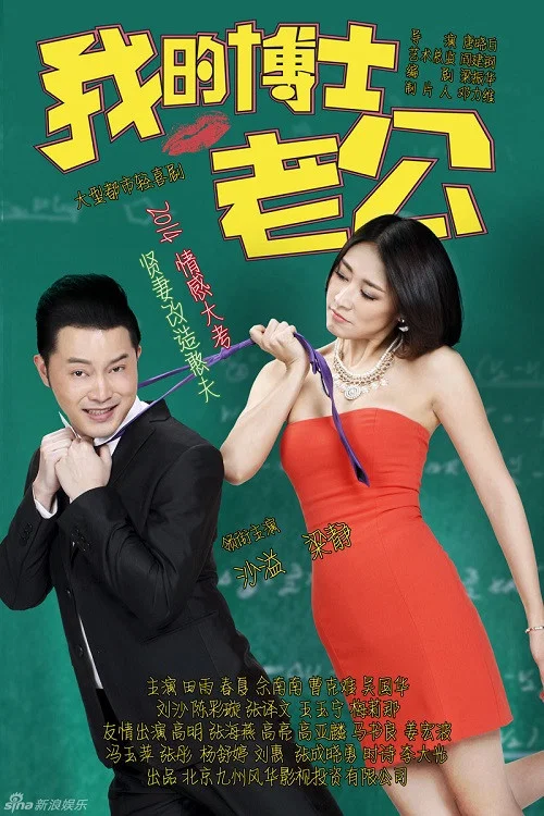 我的博士老公(2014)海报