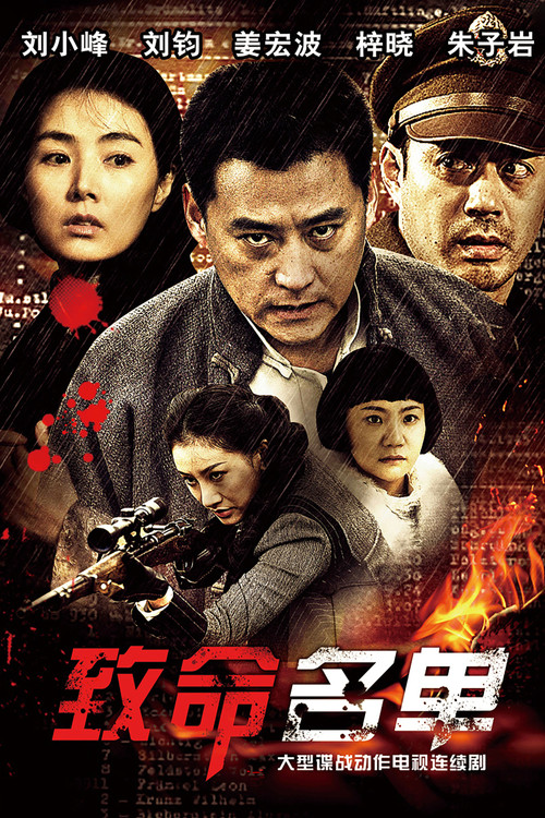 致命名单(2013)海报