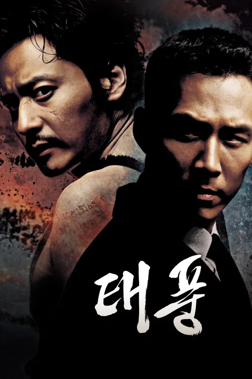 台风 2005(2005)海报